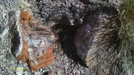IMAG0345 (2).webp