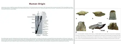 Origin combine.webp
