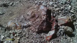 IMAG0346 (2).webp