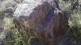 IMAG0347 (2).webp