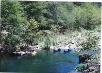 Scan_Pic0030.webp