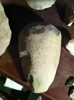 image-3591191911.webp