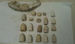 1-11-13bullets.webp