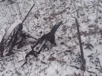 image-1759803244.webp