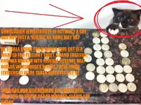 WEISELDAWGISACATYO.webp