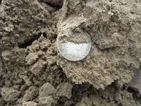 020213f.webp