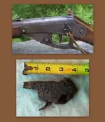 Metal Detecting 2012 2013.webp