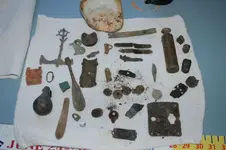 All items from harbor (2).webp