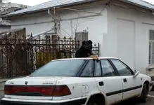 20130214_075121.webp