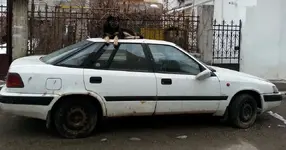 20130214_075130.webp