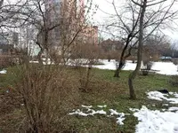20130214_161608.webp