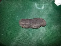 20130219_163208.webp