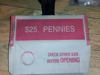 pennies 2.webp pennies 2.webp
