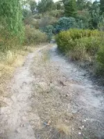 100_2347.webp