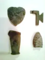 todaysfinds.webp