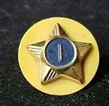 133481304_vintage-cub-eagle-boy-scout-webelo-gold-blue-star-1-pin-.webp
