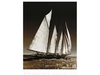 Sail-m.webp Sail-m.webp