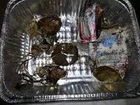 20130302_175209.webp