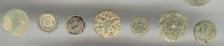 face buttons.webp