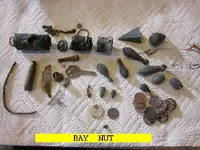 0219NUT.webp