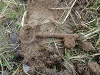 Metal Detecting 2013 119.webp