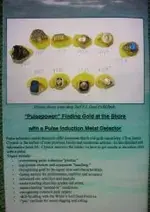 pulse ebay2X.webp