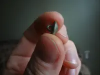 Metal Detecting 2013 123.webp
