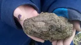 post-14-0-05937700-1361834779_thumb.webp
