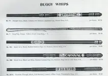 buggy whip.webp