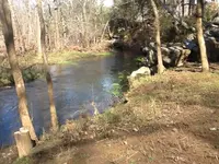 image-422666546.webp