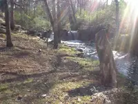 image-748309395.webp