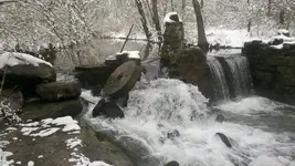 image-823709783.webp