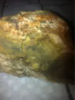 image-1187502500.webp