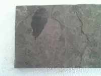 1362323985004.webp