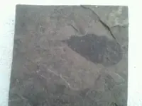 1362324017648.webp