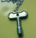 skate key.webp