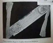 navy neck stock historical militaria.webp