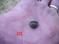 100_2379.webp