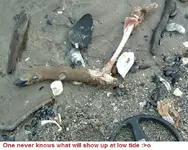 DSCF1972.webp