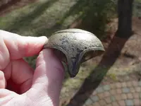 buttcap3.webp