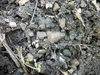 100_6357.webp