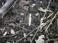 100_6356.webp