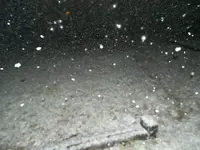 2-19-13 Snow 013.webp