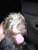image-802522426.webp