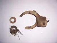1st finds.webp