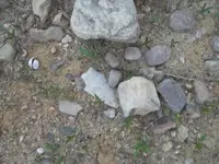 phphSBQYHPM.webp