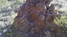 IMAG0365 (2).webp