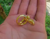 DSCF0967.webp