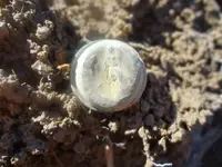 Metal Detecting 2013 072.webp