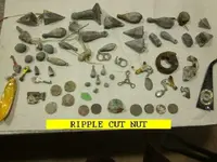 0208NUT.webp